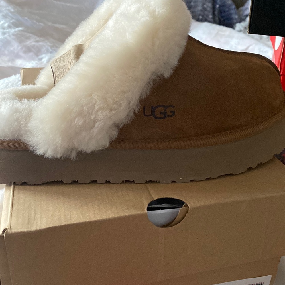 Ugg Disquette